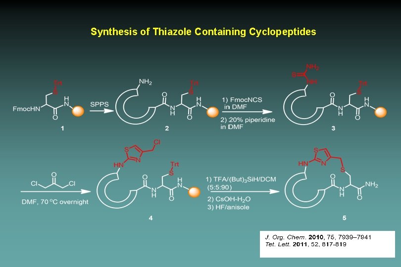 Synthesis of Thiazole Containing Cyclopeptides 