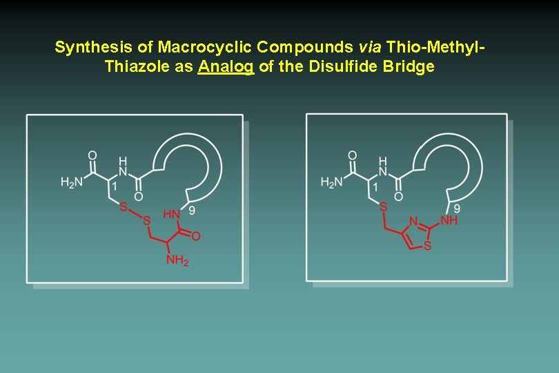 Synthesis of Macrocyclic Compounds via Thio-Methyl. Thiazole as Analog of the Disulfide Bridge 