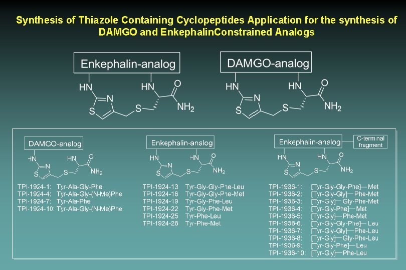 Synthesis of Thiazole Containing Cyclopeptides Application for the synthesis of DAMGO and Enkephalin. Constrained