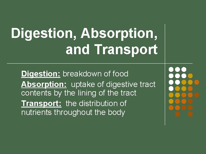 Digestion, Absorption, and Transport Digestion: breakdown of food Absorption: uptake of digestive tract contents