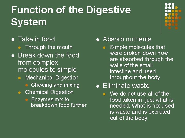 Function of the Digestive System l Take in food l l l Through the