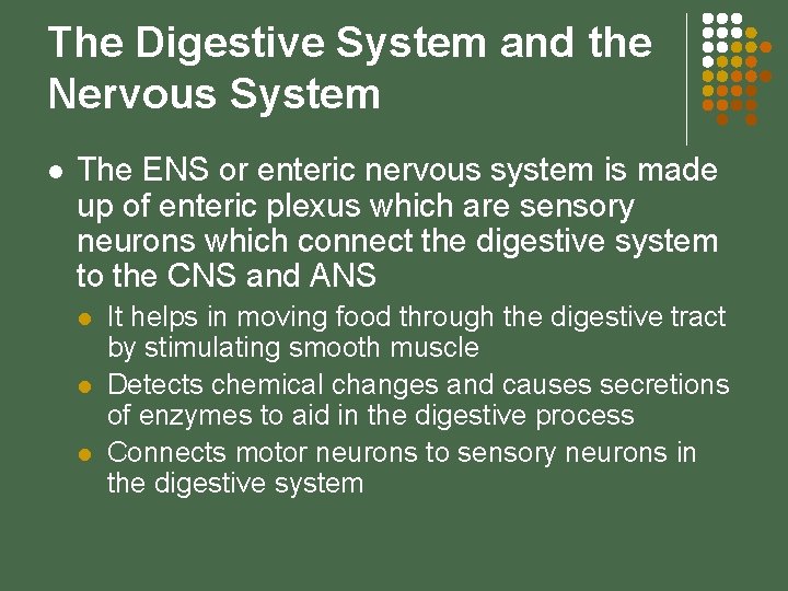 The Digestive System and the Nervous System l The ENS or enteric nervous system