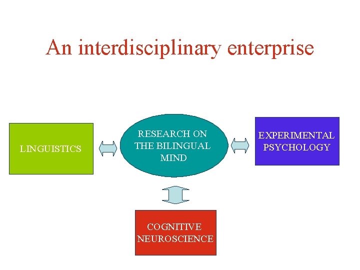 An interdisciplinary enterprise LINGUISTICS RESEARCH ON THE BILINGUAL MIND COGNITIVE NEUROSCIENCE EXPERIMENTAL PSYCHOLOGY 