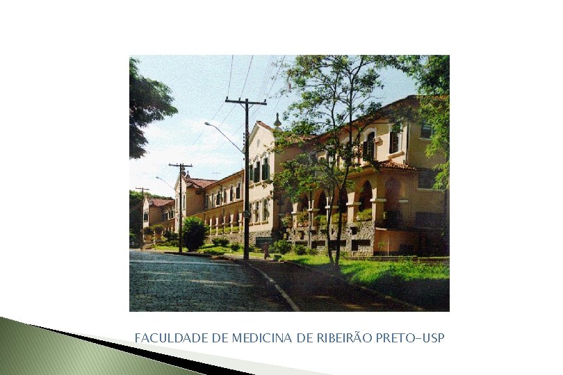 FACULDADE DE MEDICINA DE RIBEIRÃO PRETO-USP 