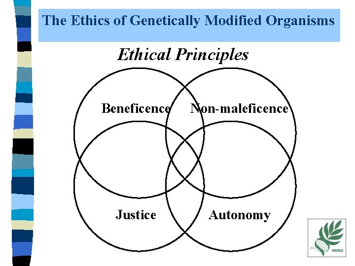 The Ethics of Genetically Modified Organisms Ethical Principles Beneficence Non-maleficence Justice Autonomy 