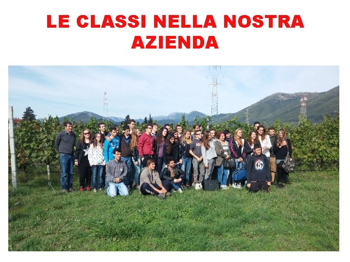 LE CLASSI NELLA NOSTRA AZIENDA 