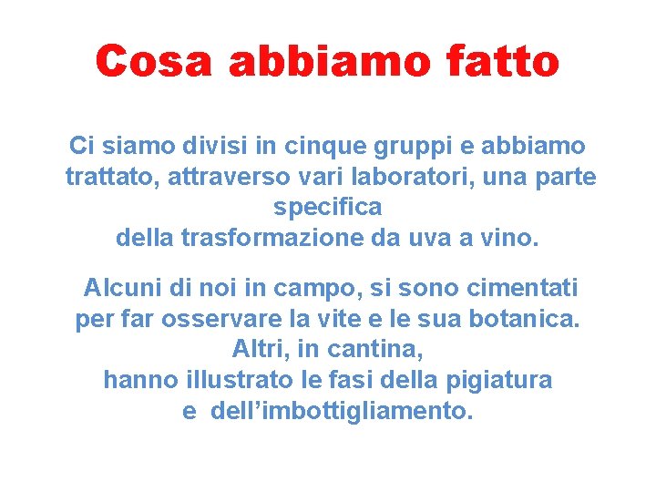 Cosa abbiamo fatto Ci siamo divisi in cinque gruppi e abbiamo trattato, attraverso vari