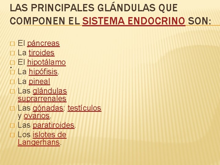 LAS PRINCIPALES GLÁNDULAS QUE COMPONEN EL SISTEMA ENDOCRINO SON: � � � � El