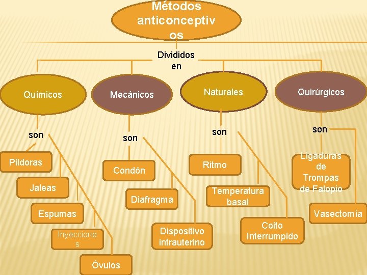 Métodos anticonceptiv os Divididos en Químicos Naturales Mecánicos son son Pildoras Quirúrgicos Ritmo Condón