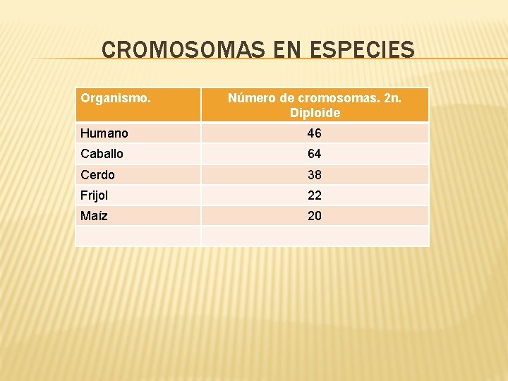 CROMOSOMAS EN ESPECIES Organismo. Número de cromosomas. 2 n. Diploide Humano 46 Caballo 64