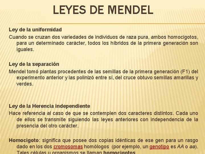 LEYES DE MENDEL Ley de la uniformidad Cuando se cruzan dos variedades de individuos