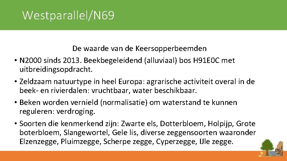 Westparallel/N 69 De waarde van de Keersopperbeemden • N 2000 sinds 2013. Beekbegeleidend (alluviaal)