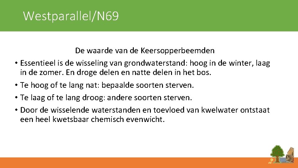 Westparallel/N 69 De waarde van de Keersopperbeemden • Essentieel is de wisseling van grondwaterstand: