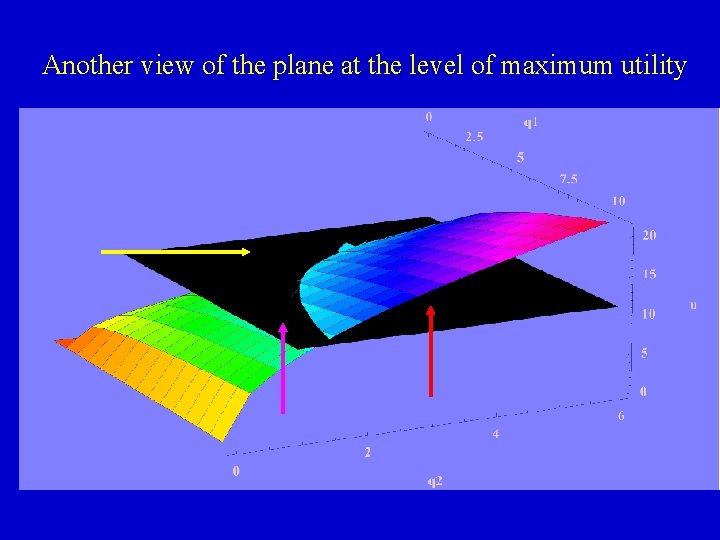 Another view of the plane at the level of maximum utility 