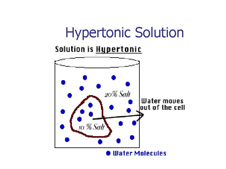 Hypertonic Solution 