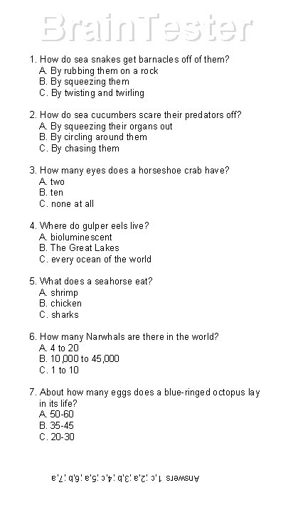 Brain. Tester 1. How do sea snakes get barnacles off of them? A. By