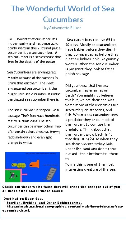 The Wonderful World of Sea Cucumbers by Antwynette Ellison Ew……look at that cucumber. It’s