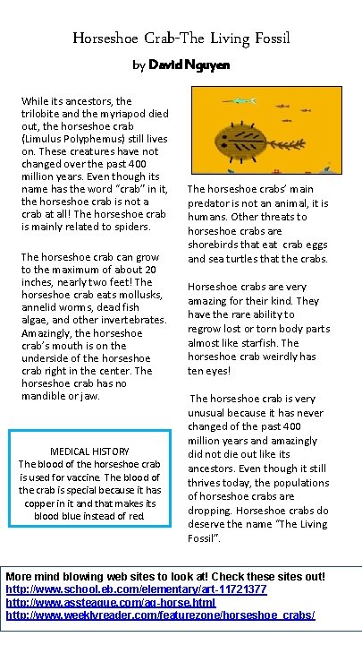 Horseshoe Crab-The Living Fossil by David Nguyen While its ancestors, the trilobite and the