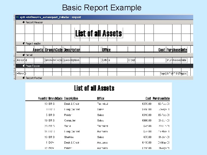 Basic Report Example 
