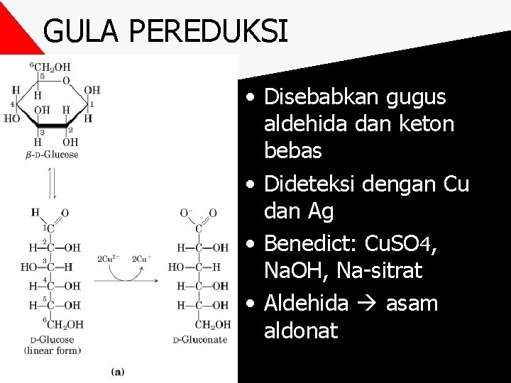 GULA PEREDUKSI • Disebabkan gugus aldehida dan keton bebas • Dideteksi dengan Cu dan