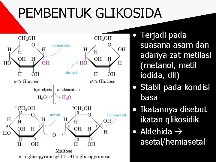 PEMBENTUK GLIKOSIDA • Terjadi pada suasana asam dan adanya zat metilasi (metanol, metil iodida,