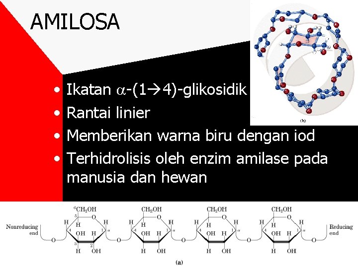 AMILOSA • • Ikatan -(1 4)-glikosidik Rantai linier Memberikan warna biru dengan iod Terhidrolisis
