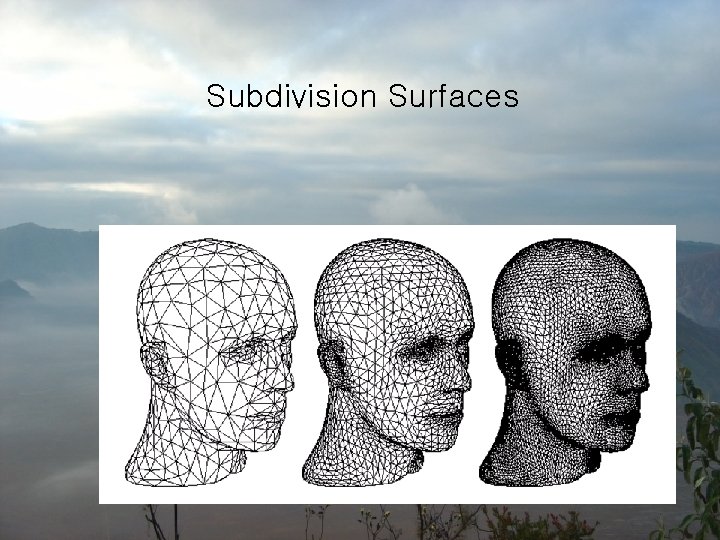 Subdivision Surfaces 