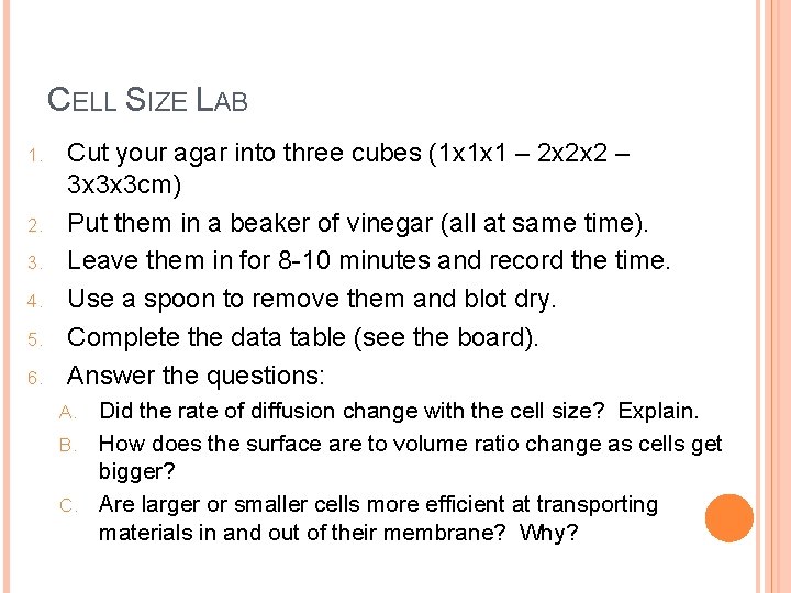 CELL SIZE LAB 1. 2. 3. 4. 5. 6. Cut your agar into three