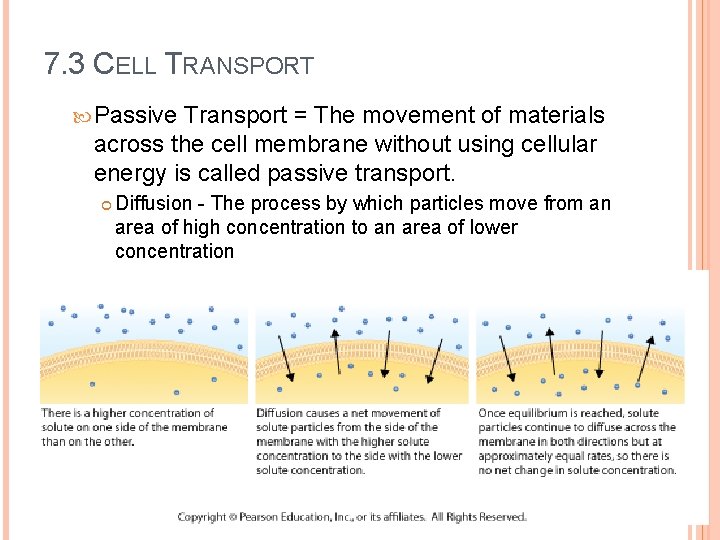 7. 3 CELL TRANSPORT Passive Transport = The movement of materials across the cell