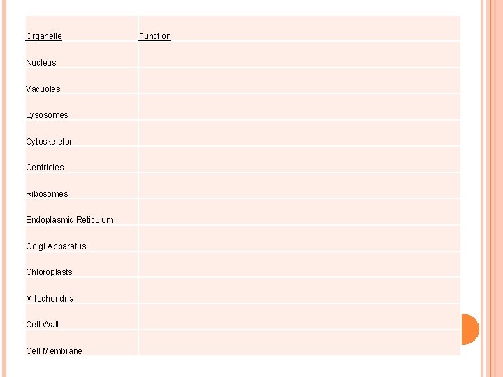Organelle Function Nucleus Vacuoles Lysosomes Cytoskeleton Centrioles Ribosomes Endoplasmic Reticulum Golgi Apparatus Chloroplasts Mitochondria