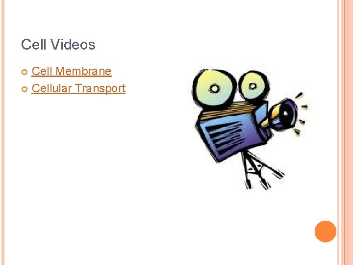 Cell Videos Cell Membrane Cellular Transport 