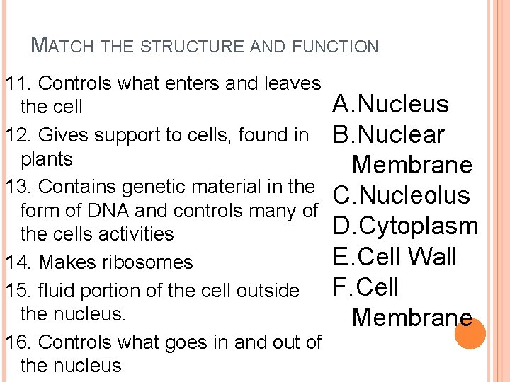 MATCH THE STRUCTURE AND FUNCTION 11. Controls what enters and leaves A. Nucleus the