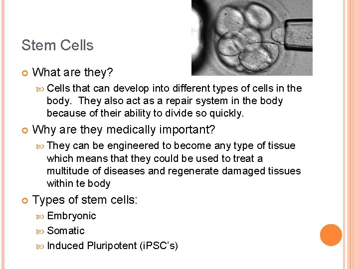 Stem Cells What are they? Cells that can develop into different types of cells