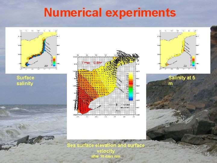 Numerical experiments Surface salinity Salinity at 5 m Sea surface elevation and surface velocity