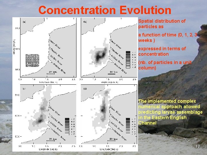 Concentration Evolution Spatial distribution of particles as a function of time (0, 1, 2,