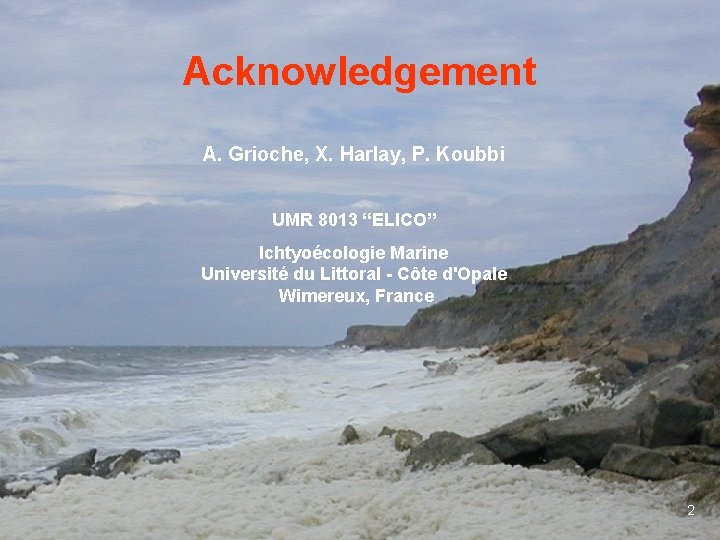 Acknowledgement A. Grioche, X. Harlay, P. Koubbi UMR 8013 “ELICO” Ichtyoécologie Marine Université du
