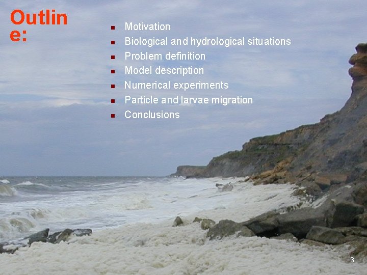 Outlin e: n n n n Motivation Biological and hydrological situations Problem definition Model