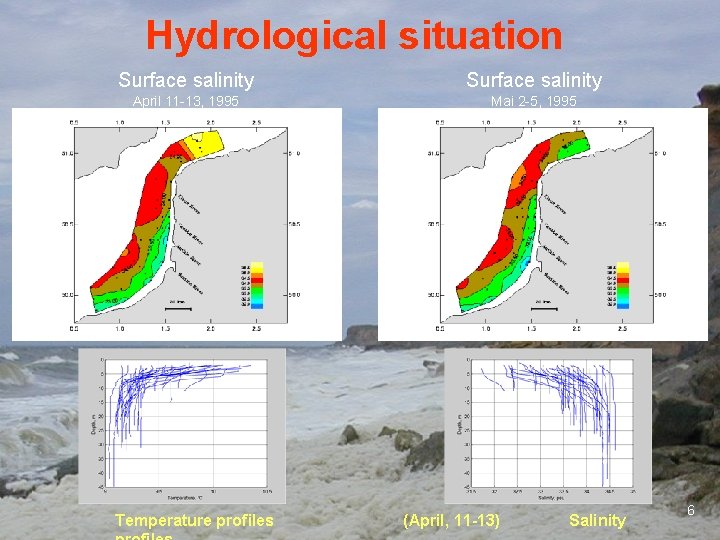 Hydrological situation Surface salinity April 11 -13, 1995 Mai 2 -5, 1995 Temperature profiles