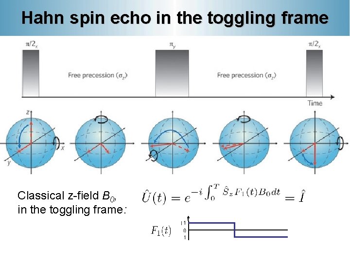 Hahn spin echo in the toggling frame Classical z-field B 0, in the toggling