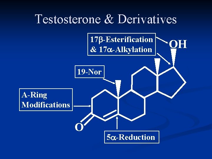 Testosterone & Derivatives 17 b-Esterification & 17 a-Alkylation 19 -Nor A-Ring Modifications O 5