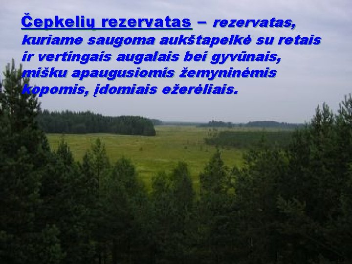 Čepkelių rezervatas – rezervatas, kuriame saugoma aukštapelkė su retais ir vertingais augalais bei gyvūnais,