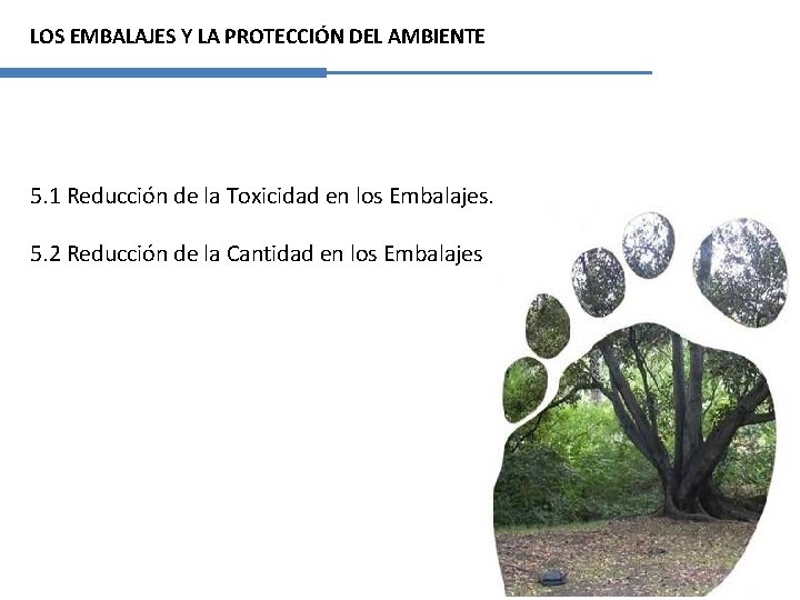 LOS EMBALAJES Y LA PROTECCIÓN DEL AMBIENTE 5. 1 Reducción de la Toxicidad en