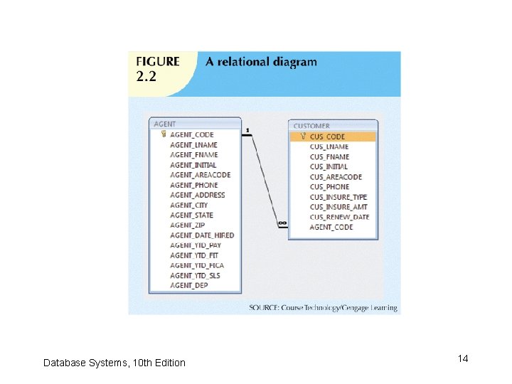 Database Systems, 10 th Edition 14 