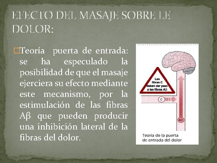 EFECTO DEL MASAJE SOBRE LE DOLOR: �Teoría puerta de entrada: se ha especulado la