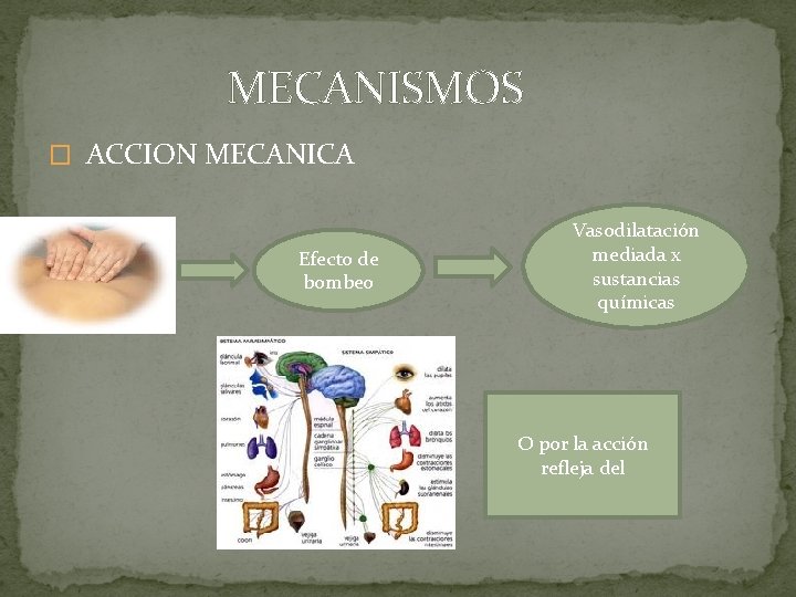 MECANISMOS � ACCION MECANICA Efecto de bombeo Vasodilatación mediada x sustancias químicas O por