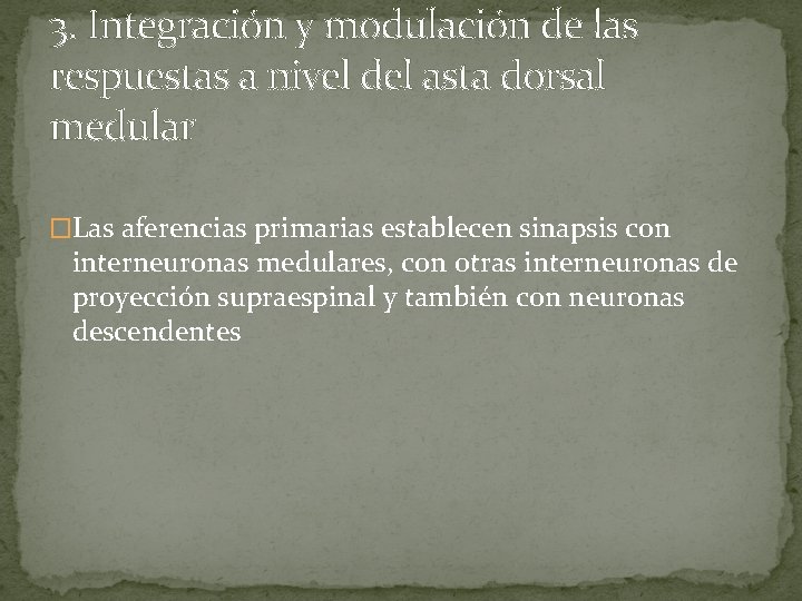 3. Integración y modulación de las respuestas a nivel del asta dorsal medular �Las