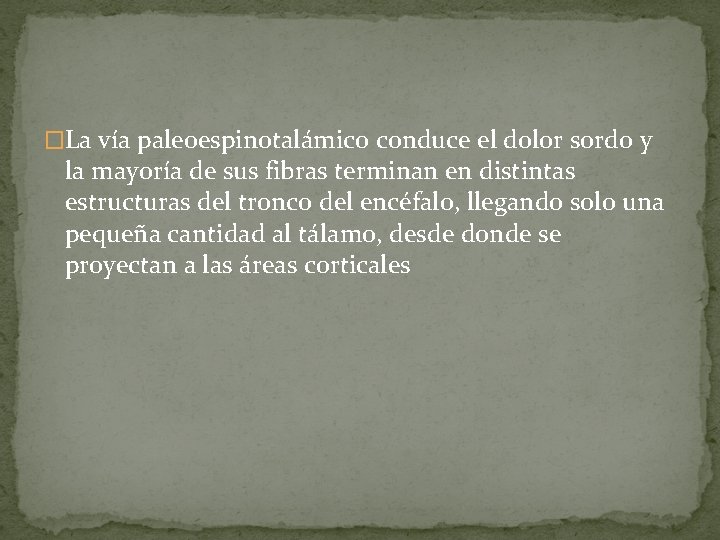 �La vía paleoespinotalámico conduce el dolor sordo y la mayoría de sus fibras terminan