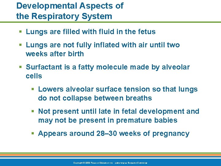Developmental Aspects of the Respiratory System § Lungs are filled with fluid in the