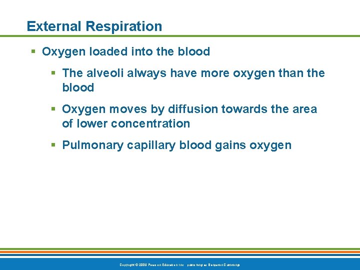 External Respiration § Oxygen loaded into the blood § The alveoli always have more