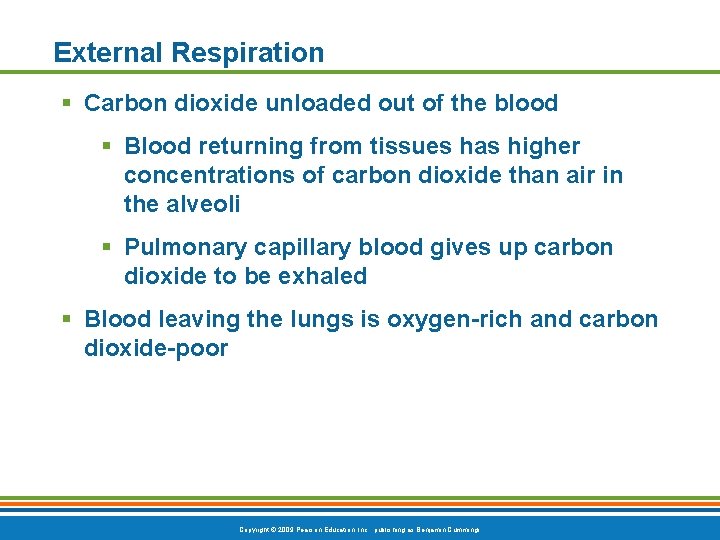 External Respiration § Carbon dioxide unloaded out of the blood § Blood returning from